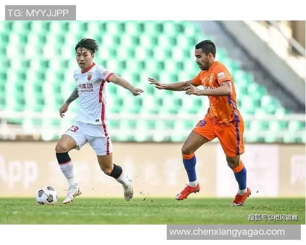 武汉滑板队与重庆滑板队赛后战术分析与总结探讨