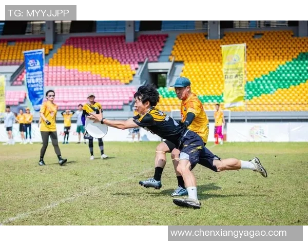 飞盘精神：武汉飞盘队的拼搏与成长之路全景纪实