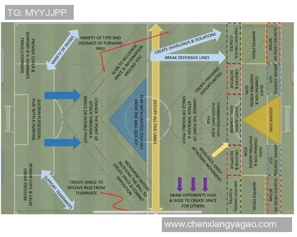 成都足球队战术表现深度分析与数据解读探索