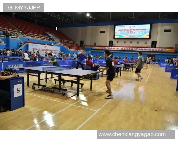 乒乓球的魅力与实力揭秘上海乒乓球队的成长与辉煌之路