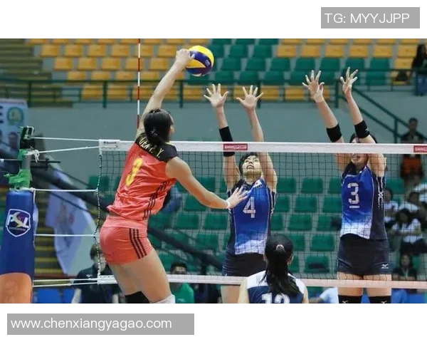 对话王敏：回顾排球生涯的辉煌与挑战分享