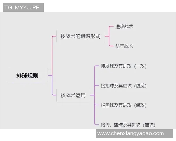 广州排球队整体压制体系解析与战术运用探讨