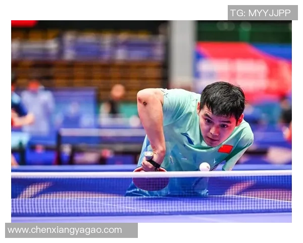 杭州羽毛球队在冠军赛中的战术意识与团队协作表现分析