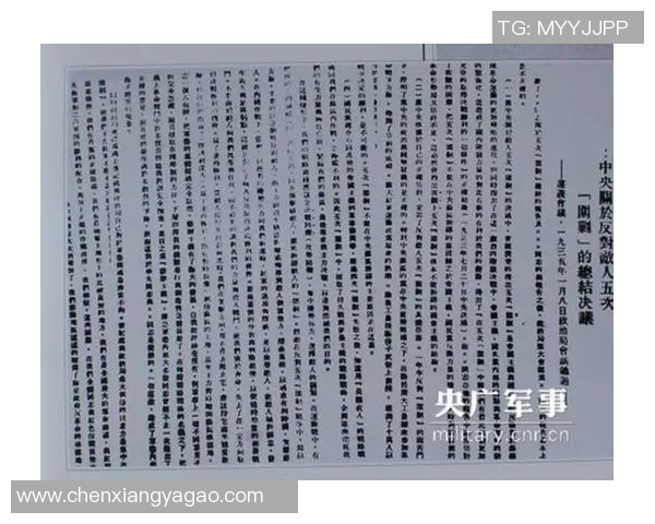 深入分析北京排球队阵地战战术及其优势解析