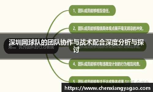 深圳网球队的团队协作与战术配合深度分析与探讨