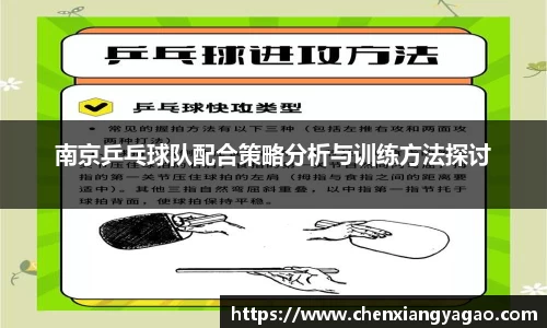 南京乒乓球队配合策略分析与训练方法探讨