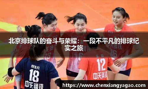 北京排球队的奋斗与荣耀：一段不平凡的排球纪实之旅