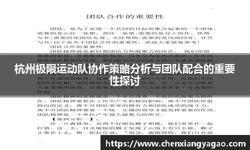 杭州极限运动队协作策略分析与团队配合的重要性探讨